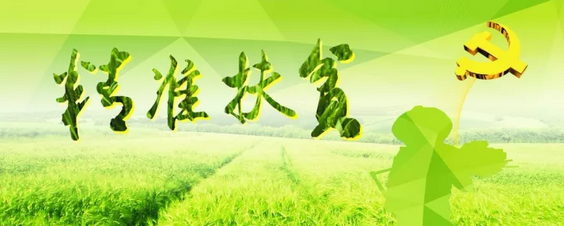 源碼助力來(lái)賓精準(zhǔn)扶貧，點(diǎn)亮新寨村幸福之路