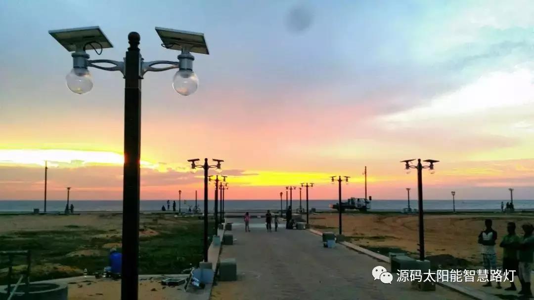 總統、發展局主席齊齊發聲，源碼火遍這個國家