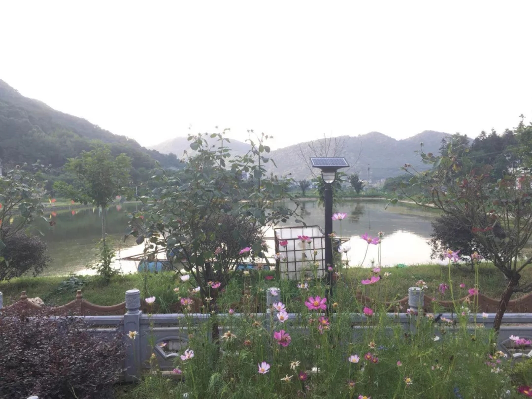 源碼，你所不知道的另一面