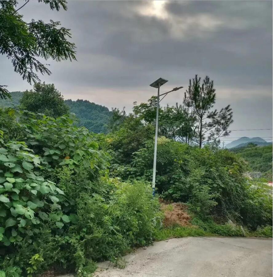 晴空排云雁高飛,源碼項目掀熱潮